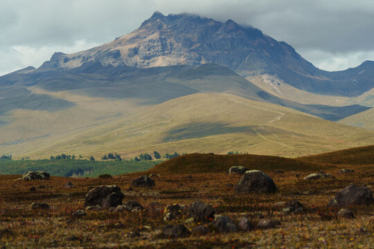 Scenic view of paramo in Cotopaxi National Park, Ecuador 
