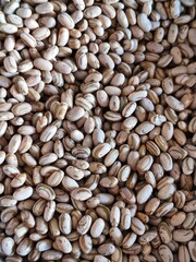 Close-Up of Raw Pinto Beans for Cooking, Agriculture, or Food Background Use