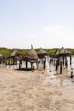 Traditional senegalese granaries in the Sine Saloum