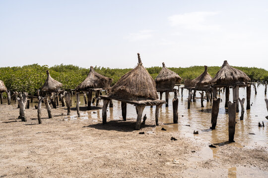 Traditional fishing huts standing on stilts in the Sine Saloum