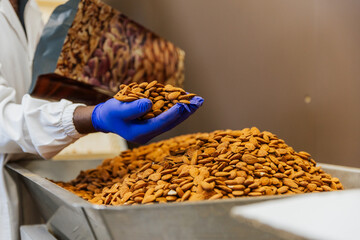 Close up of the warehouse worker lifting almonds during the packaging process