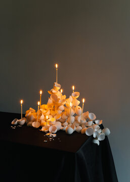 Broken eggshells scattered on black table