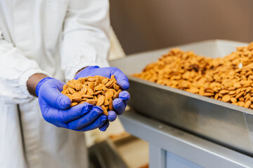 Close up of warehouse worker’s hands holding dried almonds