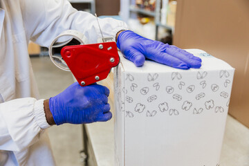 Close up of worker’s hands applying tape on box in warehouse
