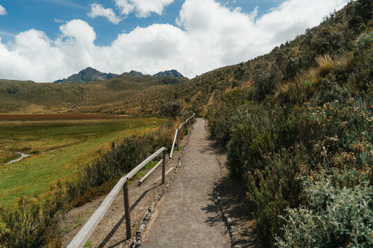 Path through paramo in Cotopaxi National Park, Ecuador 