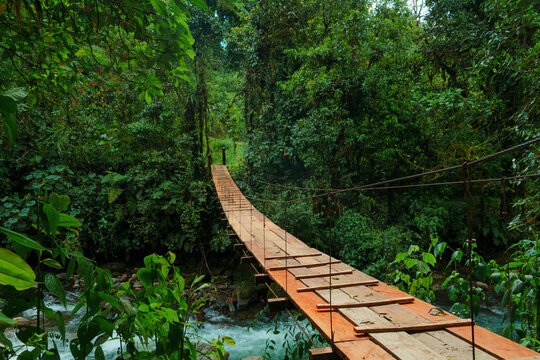 Scenic view of bridge across the river in the jungles 