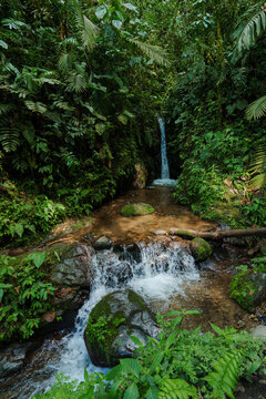 Serene waterfall in the jungles in Ecuador