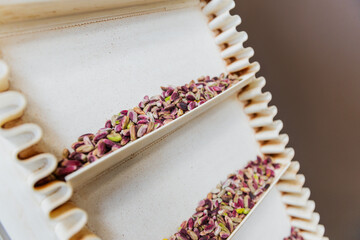 Horizontal view of dry pistachios on a tray ready for packing in food facility