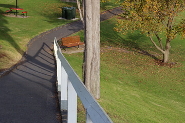 looking down a path in parkland in Geelong