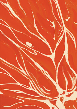 Abstract macro illustration of a citrus fruit in linear style