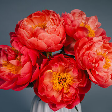 Fototapeta flowers