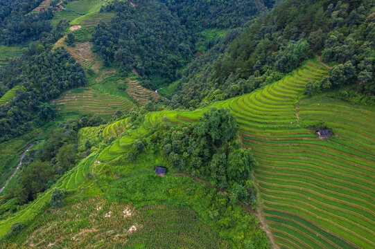 Mu Cang Chai Rice Terraces from Above