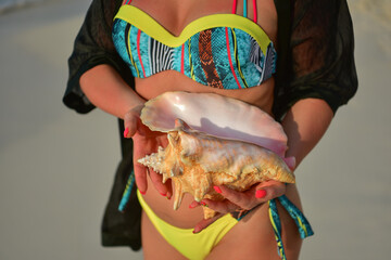 A huge shell in the hands of a girl in a bathing suit.