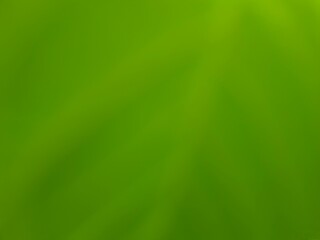 Fresh green gradient background with soft blur and natural feel. Perfect for eco themes, wellness, digital design, nature concepts, or organic branding visuals.