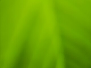 Fresh green gradient background with soft blur and natural feel. Perfect for eco themes, wellness, digital design, nature concepts, or organic branding visuals.