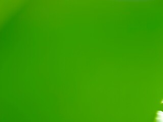 Fresh green gradient background with soft blur and natural feel. Perfect for eco themes, wellness, digital design, nature concepts, or organic branding visuals.