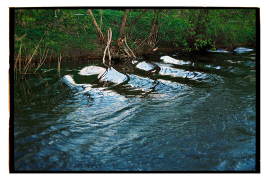 Rippling water reflections amidst lush greenery in a serene setting