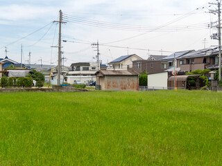 Obraz premium 住宅密集地の雑草が生えた空き地