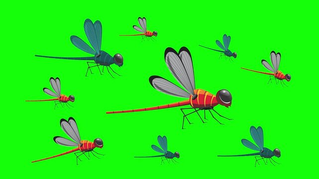 Multiple colorful dragonflies flying with green screen background.