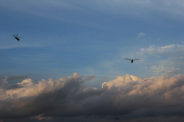 blue sky and white cloud