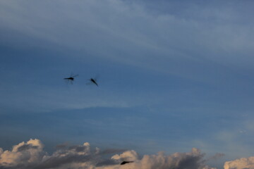 blue sky and white cloud