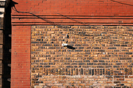 Fototapeta Security Camera Mounted on Brick Wall