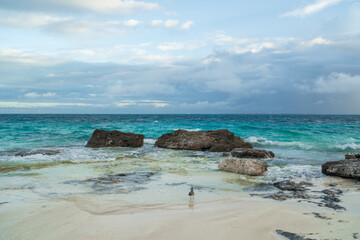 The coastline of the Caribbean Sea with white sand and rocks