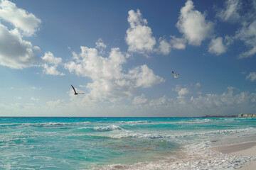 Sea shore on the Caribbean beach in the Zona Hoteleria in Cancun.