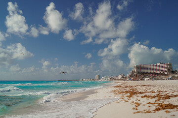 Sea shore on the Caribbean beach in the Zona Hoteleria in Cancun.
