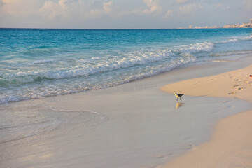 Sea shore on the Caribbean beach in the Zona Hoteleria in Cancun.