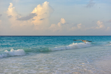 Sea shore on the Caribbean beach in the Zona Hoteleria in Cancun.