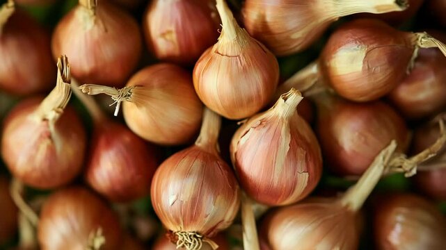 onions and garlic