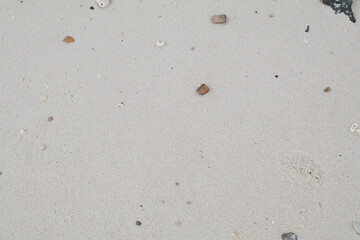Beach Sand seashore with corals and seashells. Summer rough surface natural texture background.