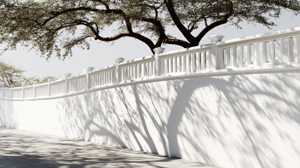 A serene white wall casts elegant shadows under a tree, creating a tranquil atmosphere in an urban setting.