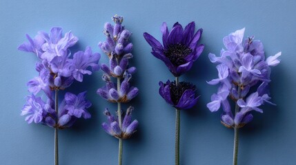 Obraz premium Purple Floral Arrangement on Soft Blue Background for Visual Appeal