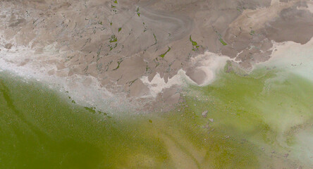 Green aerial abstract 