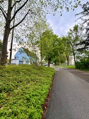 road in the park