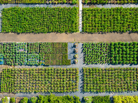 Aerial view of green plant nursery
