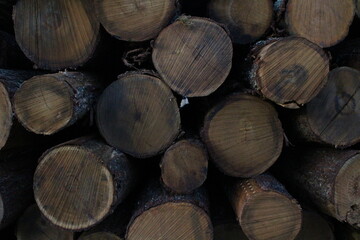 Fototapeta premium pile of firewood