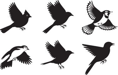 Obraz premium Six Silhouettes of Birds in Flight Elegant Avian Designs