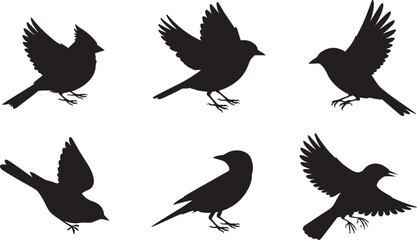 Fototapeta premium Silhouette Collection Six Diverse Bird Species in Flight and Resting Poses