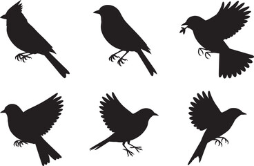 Obraz premium Elegant Bird Silhouettes A Collection of Six Bird Illustrations
