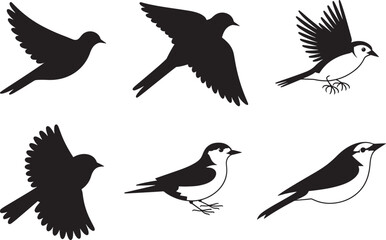 Obraz premium Silhouette Collection Six Elegant Bird Illustrations