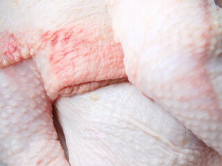 Texture of raw chicken pieces. Closeup