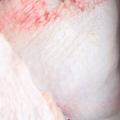 Texture of raw chicken pieces. Closeup
