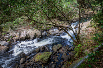 Crystal Cascades is a freshwater creek. The area features numerous cascade waterfalls and swimming holes in a rainforest habitat