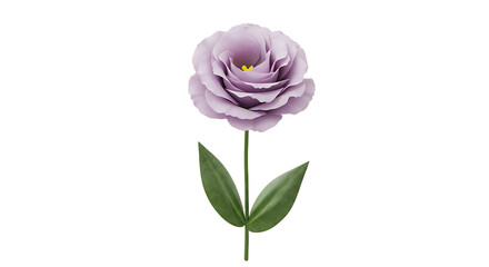 Obraz premium Elegant lavender lisianthus blossom on a white background for delicate designs