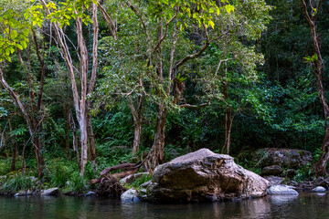 Crystal Cascades is a freshwater creek. The area features numerous cascade waterfalls and swimming holes in a rainforest habitat