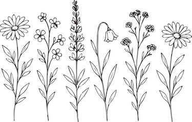 Illustration of six stylized flowers arranged in a row, each with distinct features. 