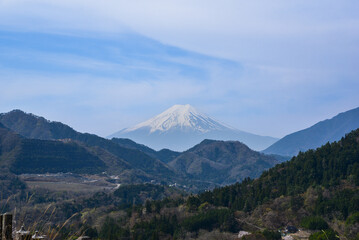 Fototapeta premium お伊勢山から見る富士山